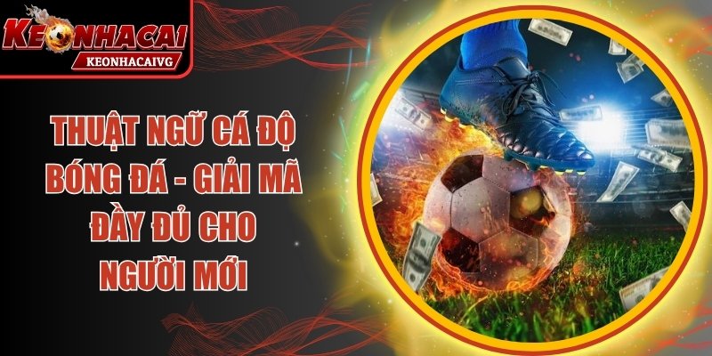 Thuật Ngữ Cá Độ Bóng Đá